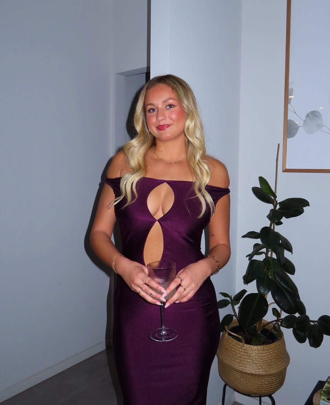 Passable Dress
